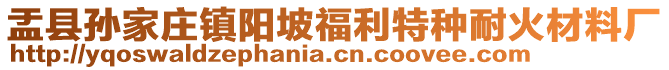 盂縣孫家莊鎮(zhèn)陽坡福利特種耐火材料廠