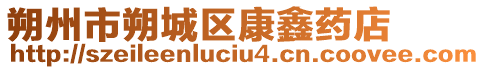 朔州市朔城區(qū)康鑫藥店