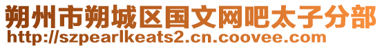 朔州市朔城區(qū)國文網(wǎng)吧太子分部