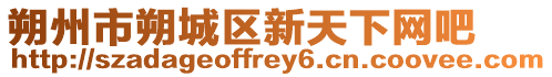 朔州市朔城區新天下網吧