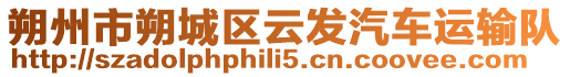朔州市朔城區(qū)云發(fā)汽車(chē)運(yùn)輸隊(duì)