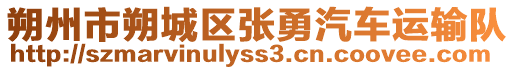 朔州市朔城區張勇汽車運輸隊