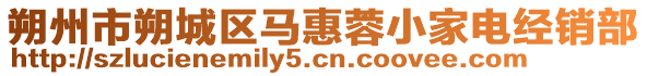 朔州市朔城區(qū)馬惠蓉小家電經(jīng)銷部