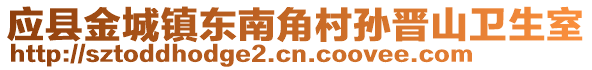 應(yīng)縣金城鎮(zhèn)東南角村孫晉山衛(wèi)生室