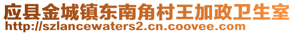 應(yīng)縣金城鎮(zhèn)東南角村王加政衛(wèi)生室