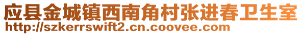 應(yīng)縣金城鎮(zhèn)西南角村張進(jìn)春衛(wèi)生室