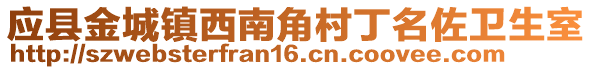 应县金城镇西南角村丁名佐卫生室