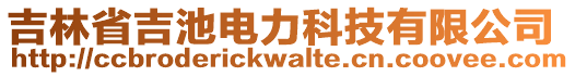 吉林省吉池電力科技有限公司