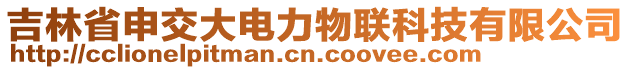 吉林省申交大電力物聯(lián)科技有限公司