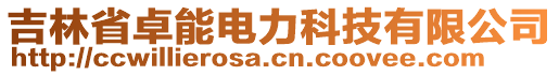 吉林省卓能電力科技有限公司