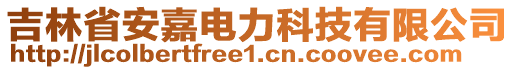 吉林省安嘉電力科技有限公司