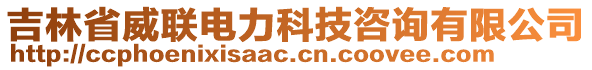 吉林省威联电力科技咨询有限公司