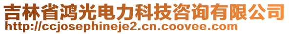 吉林省鴻光電力科技咨詢有限公司