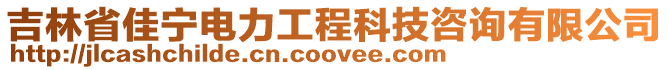 吉林省佳宁电力工程科技咨询有限公司