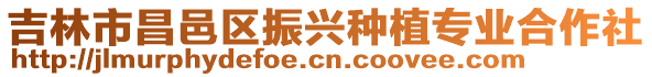 吉林市昌邑區(qū)振興種植專業(yè)合作社