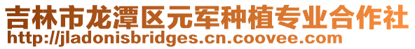 吉林市龙潭区元军种植专业合作社