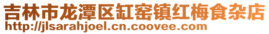 吉林市龙潭区缸窑镇红梅食杂店