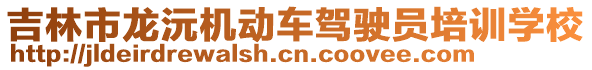 吉林市龍沅機動車駕駛員培訓學校