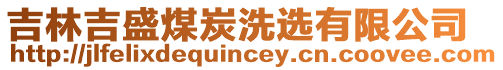 吉林吉盛煤炭洗選有限公司