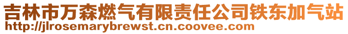 吉林市萬(wàn)森燃?xì)庥邢挢?zé)任公司鐵東加氣站