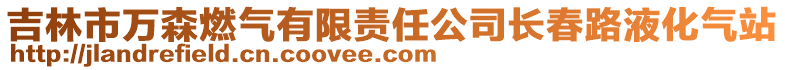 吉林市萬森燃?xì)庥邢挢?zé)任公司長春路液化氣站