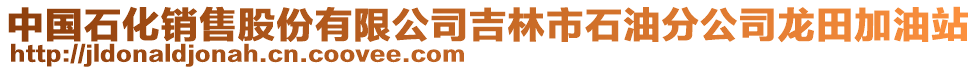 中國(guó)石化銷(xiāo)售股份有限公司吉林市石油分公司龍?zhí)锛佑驼? style=