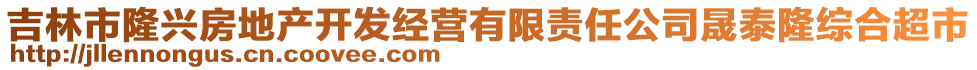 吉林市隆兴房地产开发经营有限责任公司晟泰隆综合超市