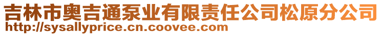 吉林市奧吉通泵業(yè)有限責任公司松原分公司