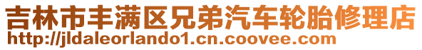 吉林市豐滿區(qū)兄弟汽車輪胎修理店