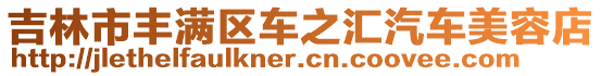 吉林市豐滿區(qū)車之匯汽車美容店