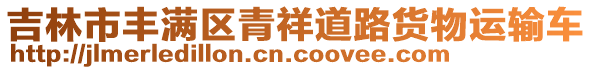 吉林市豐滿區(qū)青祥道路貨物運(yùn)輸車