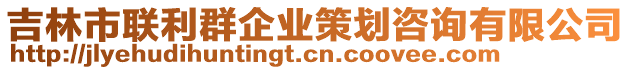 吉林市聯(lián)利群企業(yè)策劃咨詢有限公司