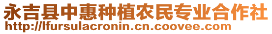 永吉县中惠种植农民专业合作社