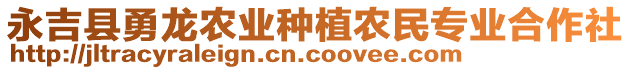 永吉縣勇龍農(nóng)業(yè)種植農(nóng)民專業(yè)合作社