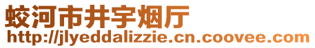 蛟河市井宇煙廳