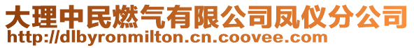 大理中民燃气有限公司凤仪分公司