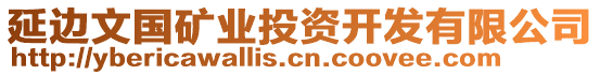 延邊文國礦業(yè)投資開發(fā)有限公司