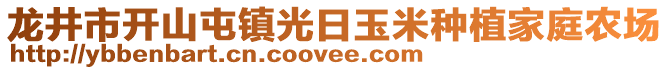 龍井市開山屯鎮(zhèn)光日玉米種植家庭農(nóng)場