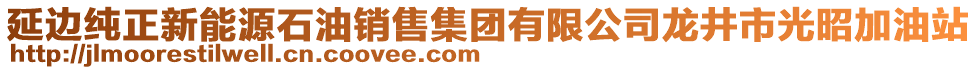 延邊純正新能源石油銷售集團(tuán)有限公司龍井市光昭加油站