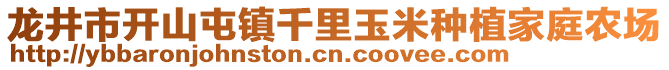 龍井市開(kāi)山屯鎮(zhèn)千里玉米種植家庭農(nóng)場(chǎng)