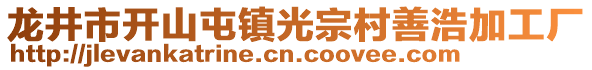 龍井市開山屯鎮(zhèn)光宗村善浩加工廠