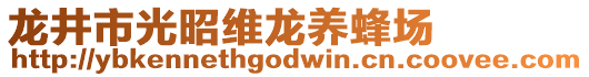 龙井市光昭维龙养蜂场