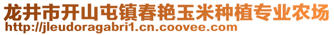 龍井市開山屯鎮(zhèn)春艷玉米種植專業(yè)農場