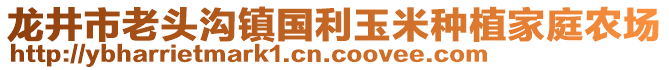 龍井市老頭溝鎮(zhèn)國利玉米種植家庭農(nóng)場