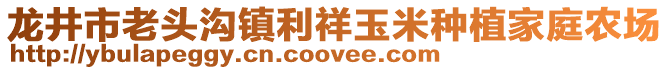 龍井市老頭溝鎮(zhèn)利祥玉米種植家庭農(nóng)場