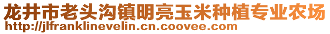 龙井市老头沟镇明亮玉米种植专业农场
