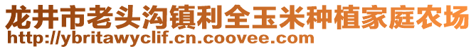 龙井市老头沟镇利全玉米种植家庭农场