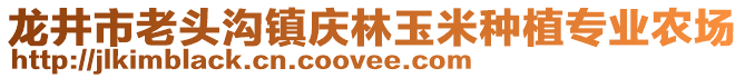 龙井市老头沟镇庆林玉米种植专业农场