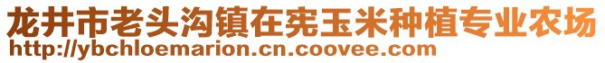 龍井市老頭溝鎮(zhèn)在憲玉米種植專業(yè)農(nóng)場