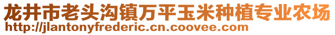 龍井市老頭溝鎮(zhèn)萬平玉米種植專業(yè)農(nóng)場